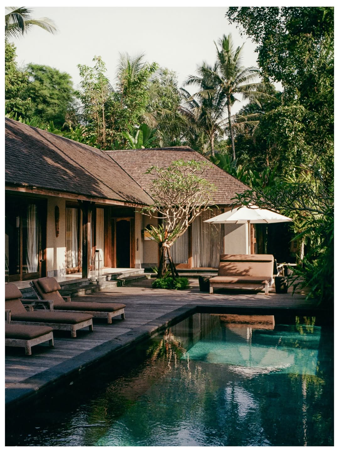 Pool and loungers beside a villa in the jungle